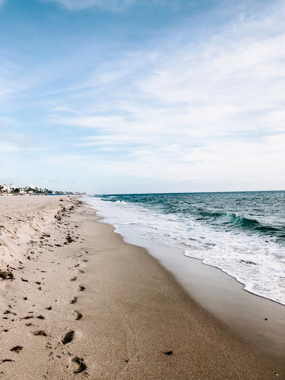 a sandy beach.