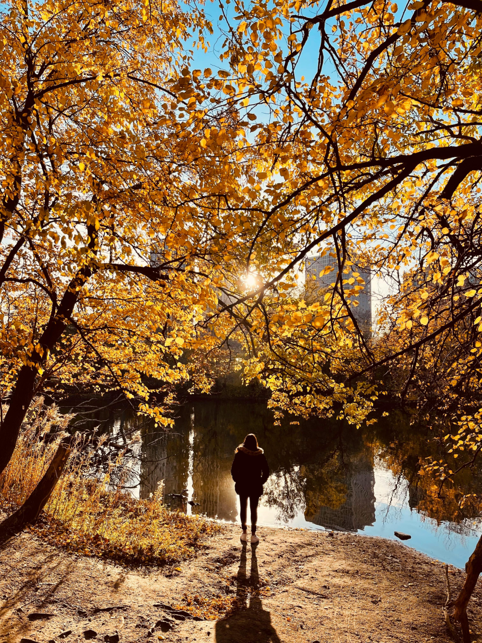 A woman enjoys a lakeside view in fall foliage.