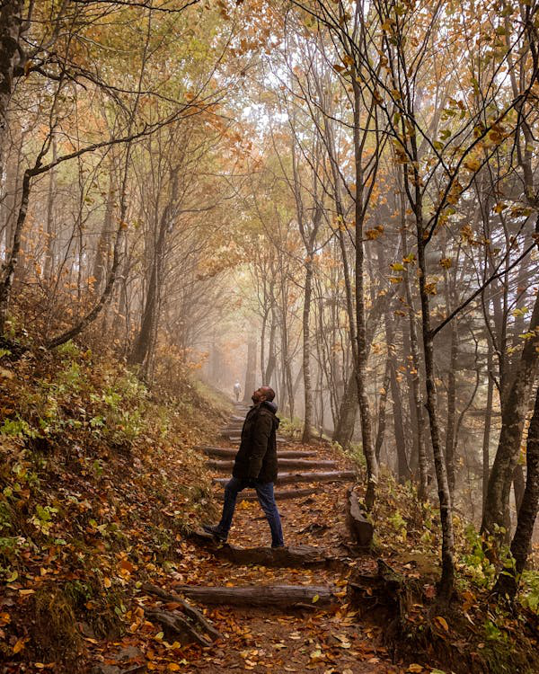 a man taking a walk.